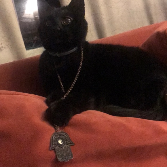 Necklace - Picture 6 of 7